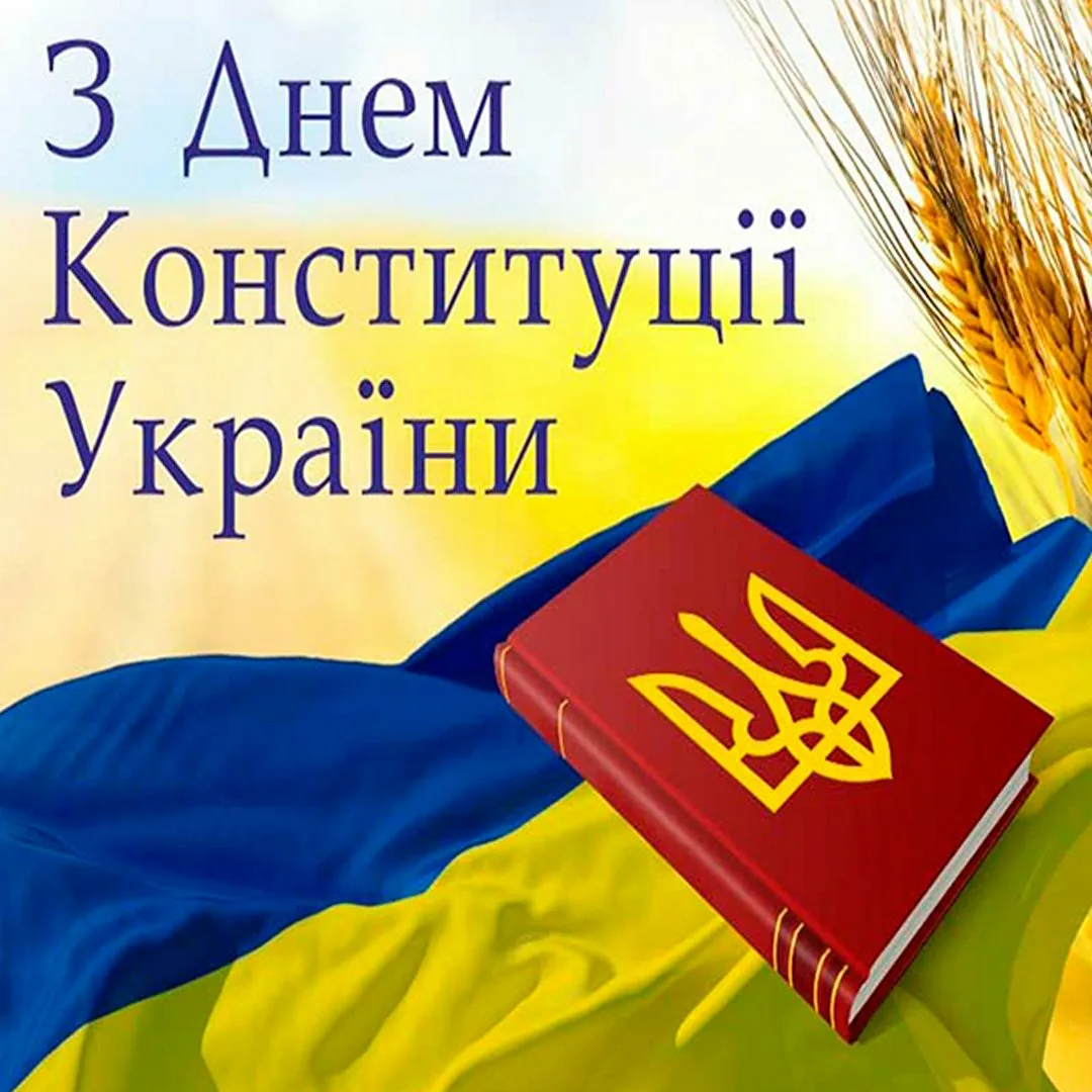 Фото День Конституции Украины #18