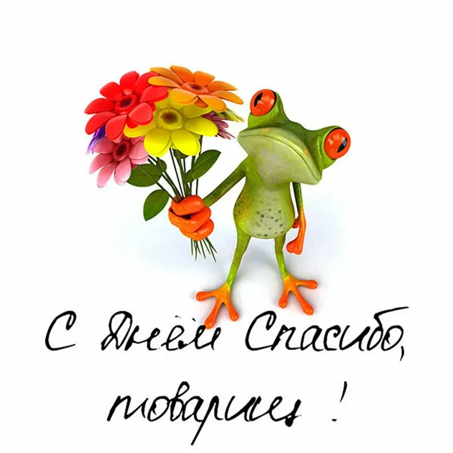 Спасибо сейчас найду. Благодарю за приглашение. Спасибо большое. Международный день спасибо. Международный день спасибо поздравления.