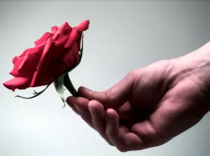 Скачивание изображения #30949