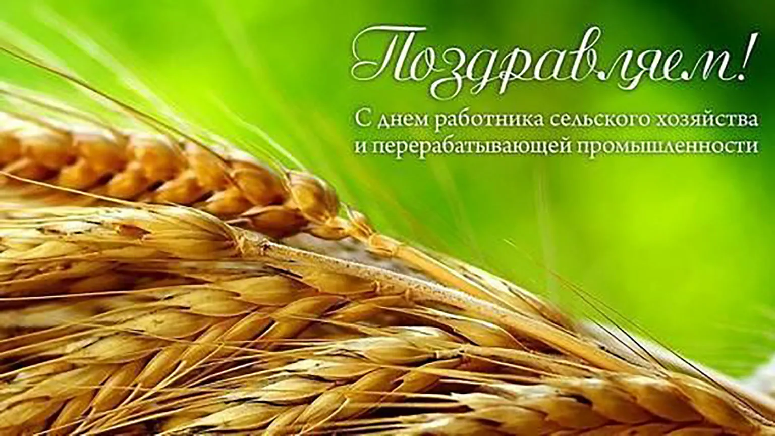 Фото Поздравления с днем работников сельского хозяйства Украины #21