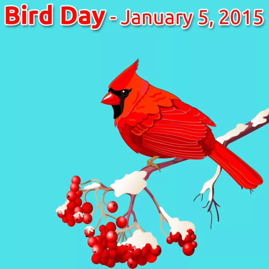 Когда день птиц в 2024 году. День птиц. День птиц 2024. День птиц 5 января. День птиц картинки.