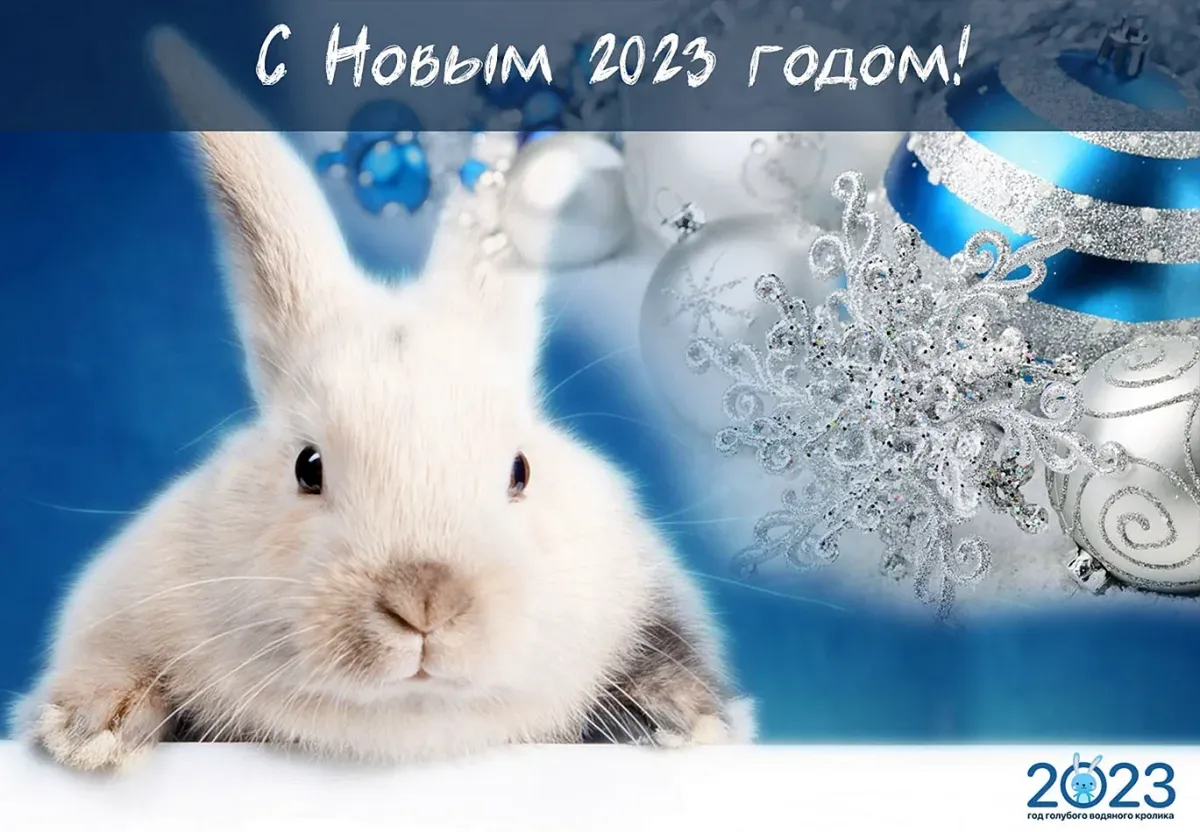 Поздравление с новым годом кролика. С новым годом 2023. Год кролика 2023. Новогодняя открытка с кроликом.
