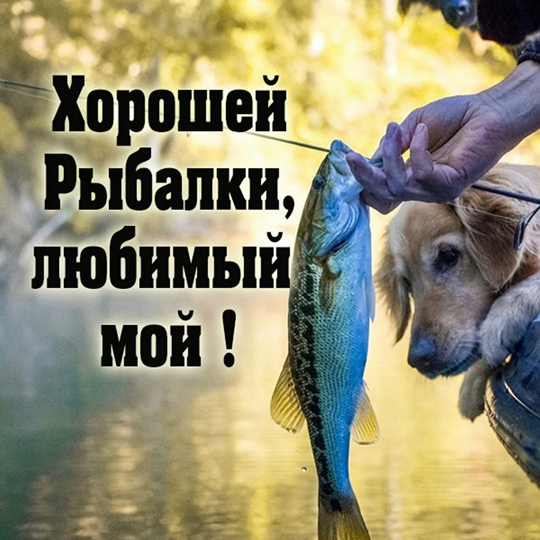 Фото Поздравления рыбаку в праздник «Всемирный день рыболовства» #73